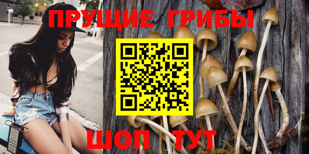 Галлюциногенные грибы Cubensis  как найти наркотики  Каменск-Уральский  Псилоцибиновые грибы GOLDEN TEACHER  Вход с VPN 